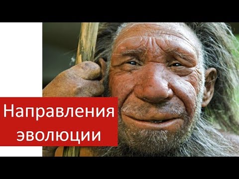 Направления эволюции | что такое ароморфоз