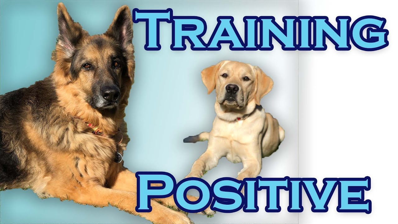 positive reinforcement chart Welcome to Training Positive!