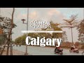 Calgary Hill 🍍 || Relaxing with Bright Tunes: Pop Hits for Positive Vibes 🎻 PT. 11