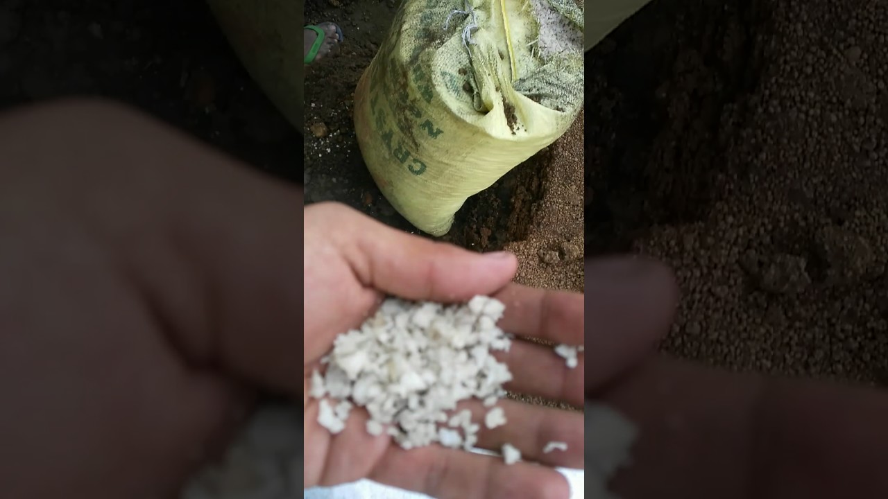 Earthing...process by layering of charcoal nd salt.... YouTube