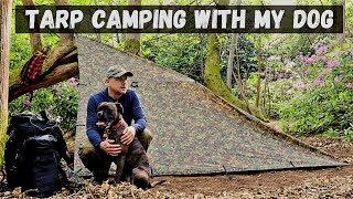 Tarp Camping With My Dog | Trangia Cooking | Boxer Dog Goes Camping in the Forest
