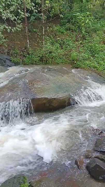 #waterfalls#wayanadvibes#pilakavu