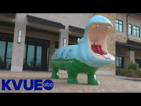 How Hutto became 'Hippo Nation' | KVUE