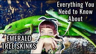EMERALD TREE SKINK Care & Information