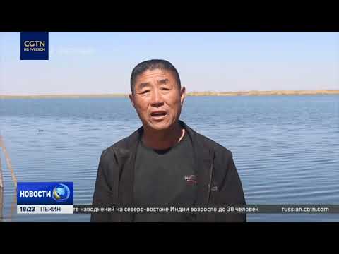 Как в Китае очищают загрязненные водоемы