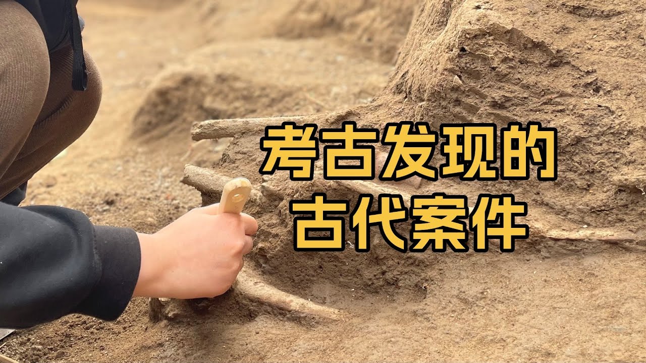 历史上有哪些传世文献没记载，而是通过考古发现的案件？