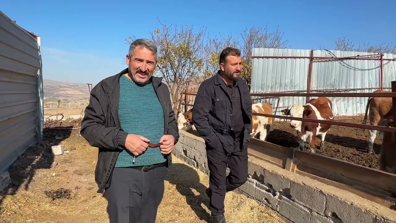 KAYMAK DÜVELERİ KAPTI 