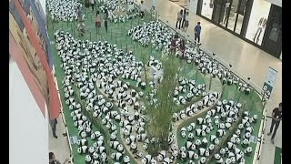 1,600 Paper-made Pandas on Display in Bangkok