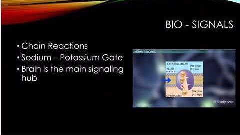 Bio signals