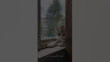 وَإِنِّي لَغَفَّارٌ لِّمَن تَابَ وَءَامَنَ وَعَمِلَ صَٰلِحٗا ثُمَّ ٱهۡتَدَىٰ💙🥀 #شريف_مصطفى #سورة_طه