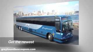 The new Greyhound Promo Codes