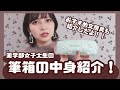 筆箱の中身紹介とおすすめ文房具！【薬学部女子】