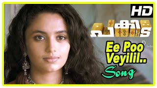 Pakida Movie Scenes | Ee Poo Veyilil Song | Asif Ali | Biju Menon | Malavika Nair