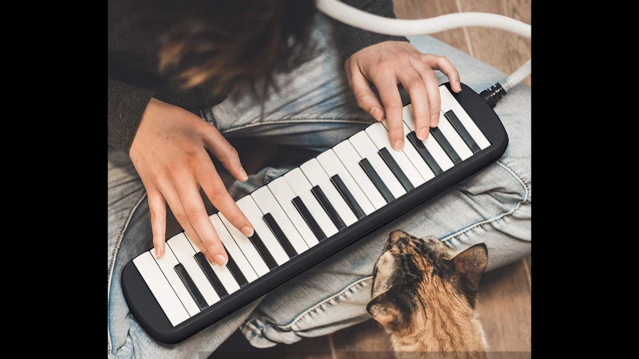 2 handed melódica introduction YouTube