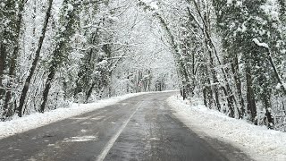 Ağaç Tünel Yol Kar Manzarasıyla Büyüledi