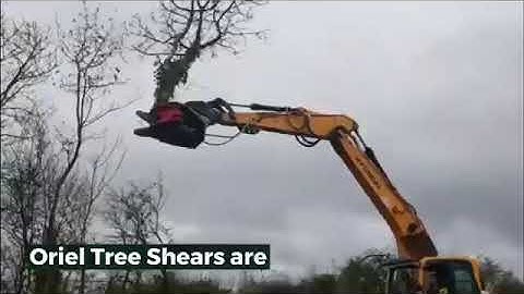 Oriel Attachments Tree Shears