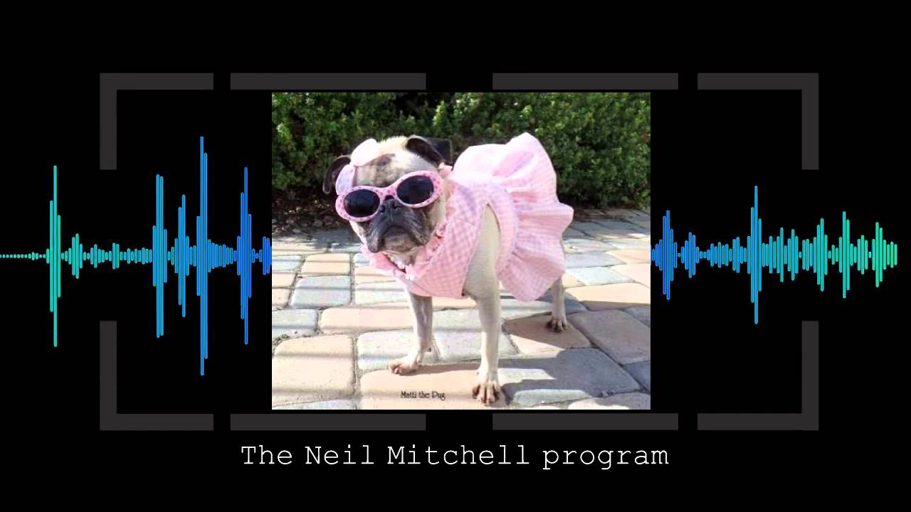 Caller Nat with Neil Mitchell