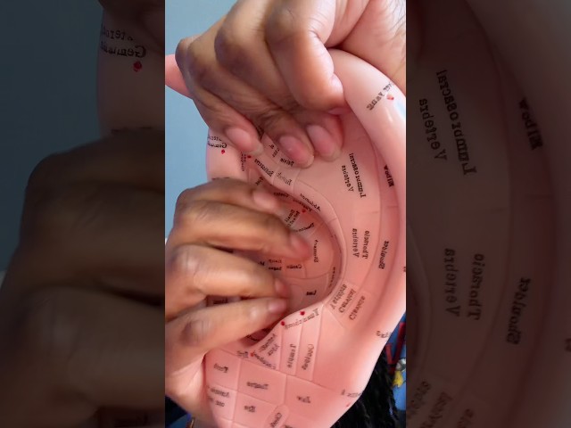 ASMR detailed acupuncture doll ear massage #asmr