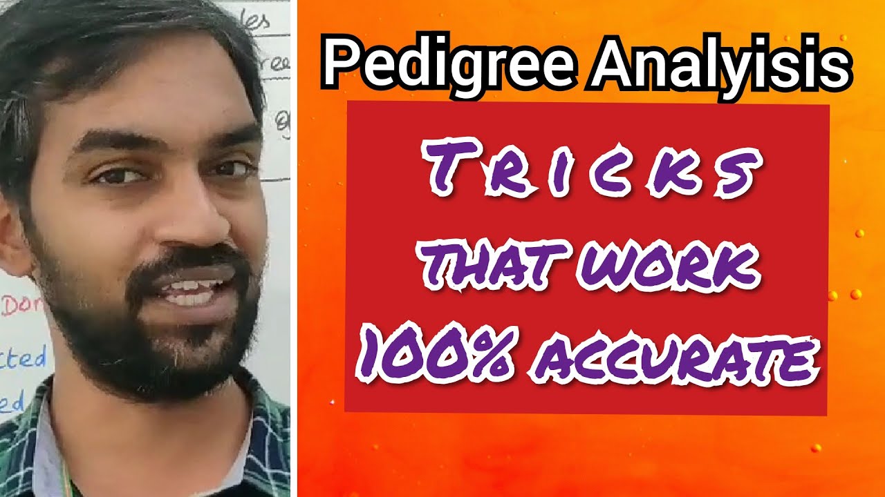 Pedigree Analysis Tricks And Tips YouTube pedigree-analysis-tricks-and-tips-youtube