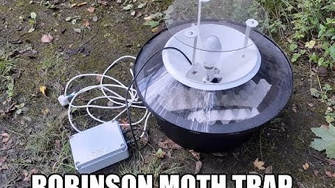 How to set up a Robinson moth trap