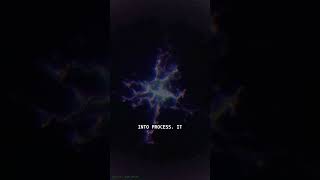 NOVA SIGNAL // TRANSMISSION 0105 // STITCHED SILENCE