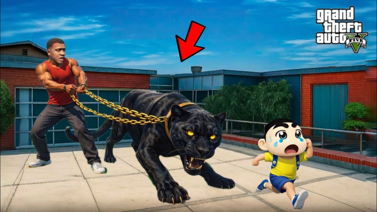 GTA 5 : FRANKLIN BUYYED A NEW PET [ PANTHER ]