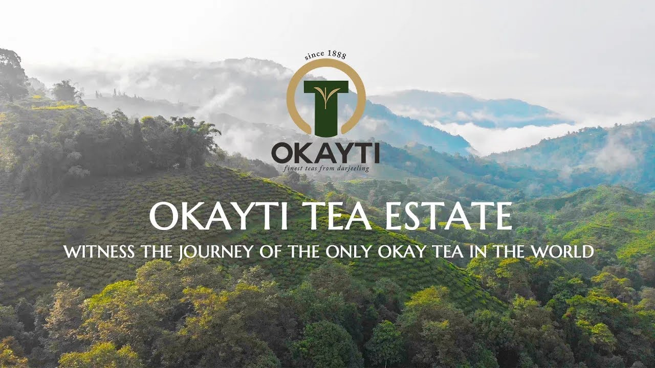 Discover the Incredible Story Behind the World's ONLY Okay Tea! See It to Believe It | Okayti | 2023