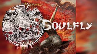 Soulfly Ritual Español