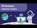 Digestive System | Science | Primary 3 | Geniebook
