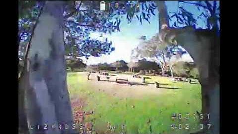 Still Got Love for the Lizard - Eachine Lizard95, Aomway Commander