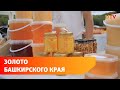 Медовый фестиваль в Башкирии собрал тысячи любителей меда