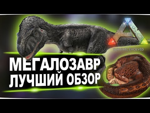 Видео: Мегалозавр (Megalosaurus) в АРК. Лучший обзор: приручение, разведение и способности  в ark.