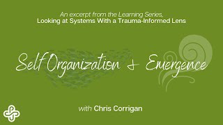 Self-Organization & Emergence