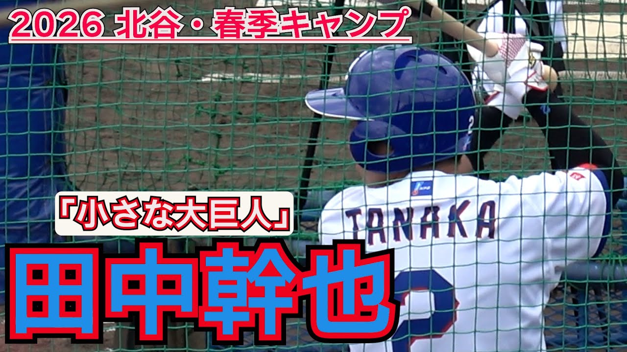 huruhataさま専用 他の方はご遠慮ください 中日ドラゴンズ　スプリング 中日ドラゴンズ2026始動】竜の「小さな大巨人」田中 幹也・・・フリー