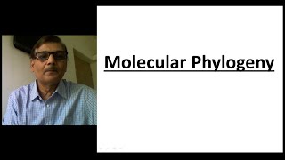 Molecular Phylogeny
