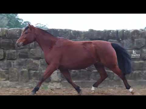 LOTE 10   RAMON 278 ESTAFETA