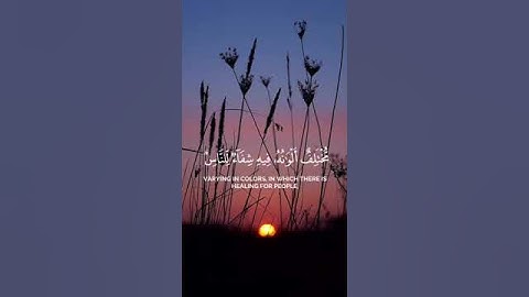 راحة نفسية تلاوة خاشعة وعذبة القارى محمد اللحيدان صوت من السماء 💛