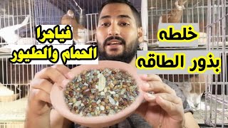 فياجرا الحمام | اقوي خلطه بذور طاقه للطيور للخصوبه وزياده الانتاج ولفتره القلش