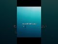 海に覆われた惑星