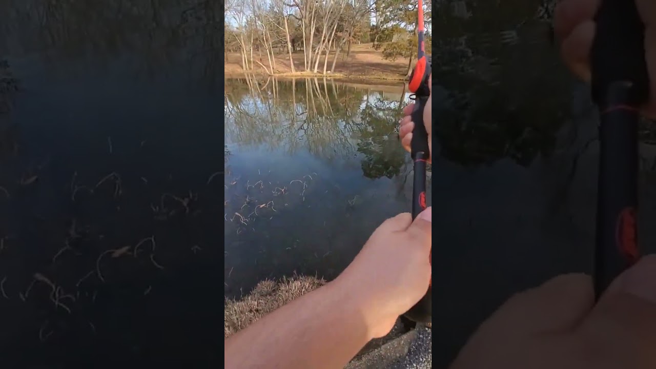 Lew's LZR Pro Speed Spool 7' Medium Heavy Action Fast Baitcast Rod and Reel Fishing Combo 