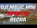 DJI Mavic Mini Весна пришла...