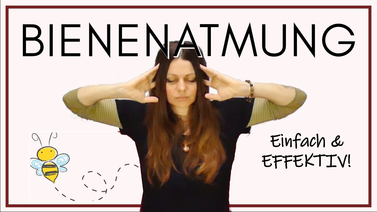 Bienenatmung Brahmari _ Die Bienenatmung – GCXI