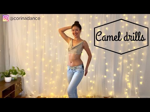 How to do a Camel Body Roll Undulation with Cat/Cow warm up and isolation drills