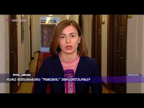 რაზე შეთანხმდა \"ოცნების\" უმრავლესობა?