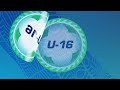 Highlights | American Samoa v Papua New Guinea | OFC U-16 Women's Championship 2026 - Qualifying