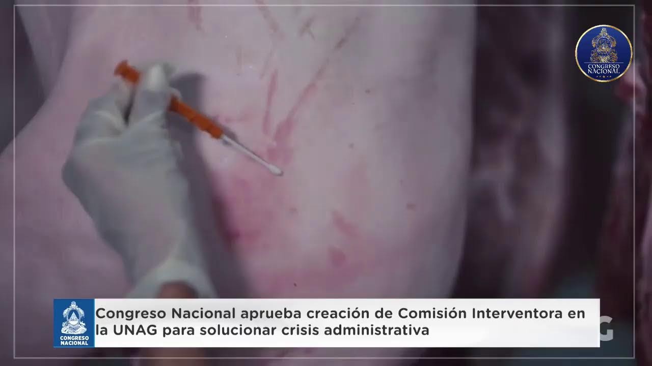 Emisión en directo de Congreso Nacional de Honduras