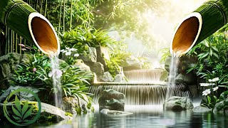 Beautiful Piano Music 24/7 • Bamboo, Peaceful Music, Relaxing Music, Meditation Music, Nature Sounds