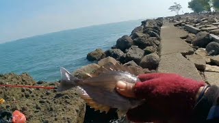 MANCING PINGGIRAN PANTAI MARINA
