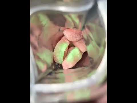 Apollo Delta 9 Gummies Review