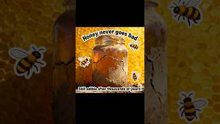 Honey Never Spoils